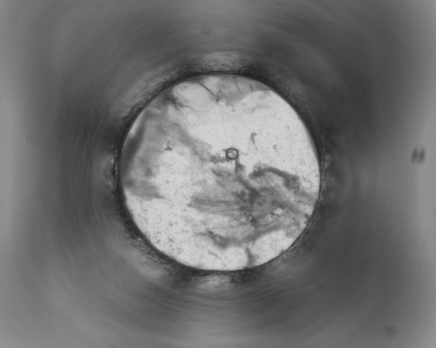 X0000113990162200910231737