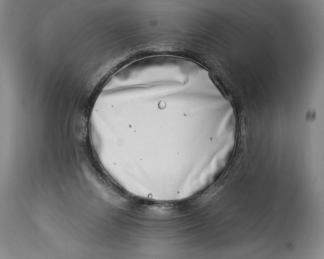 X0000113990164200910231737