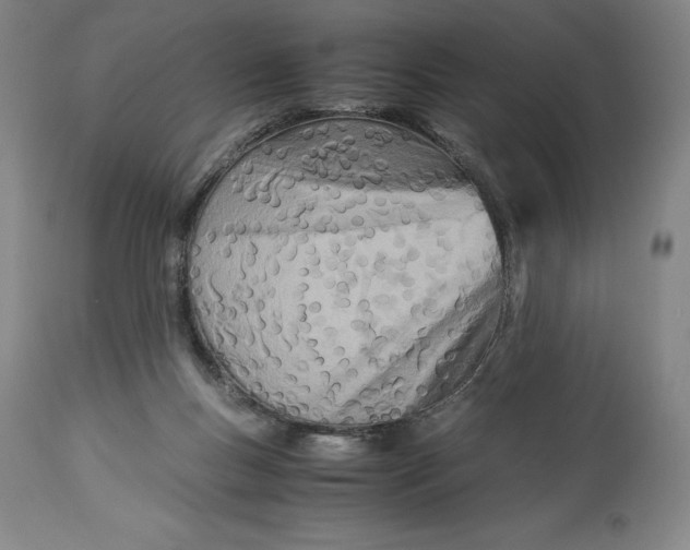 X0000113990167200910231737