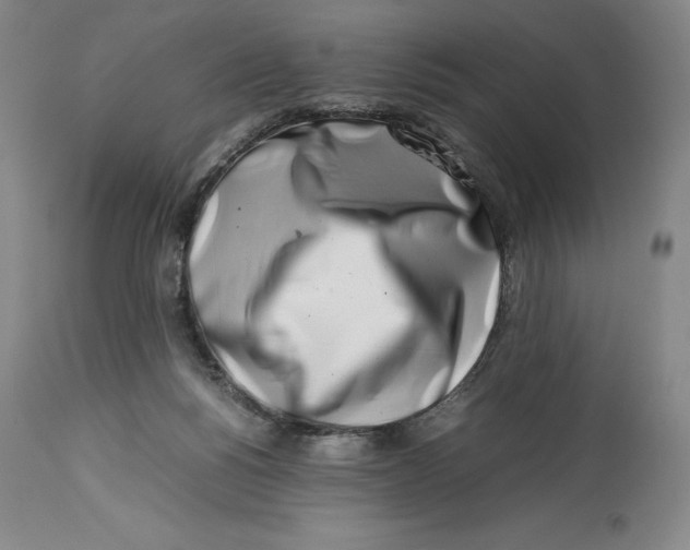 X0000113990168200910231737