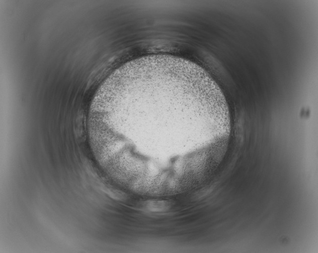 X0000113990169200910231737