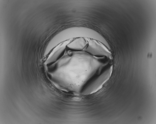 X0000113990176200910231737