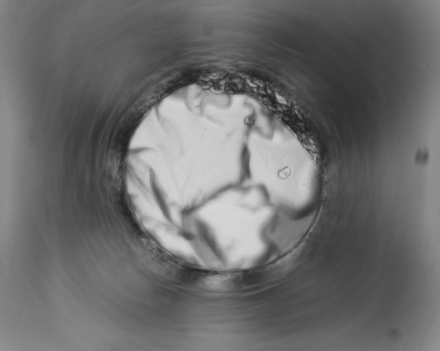 X0000113990178200910231738