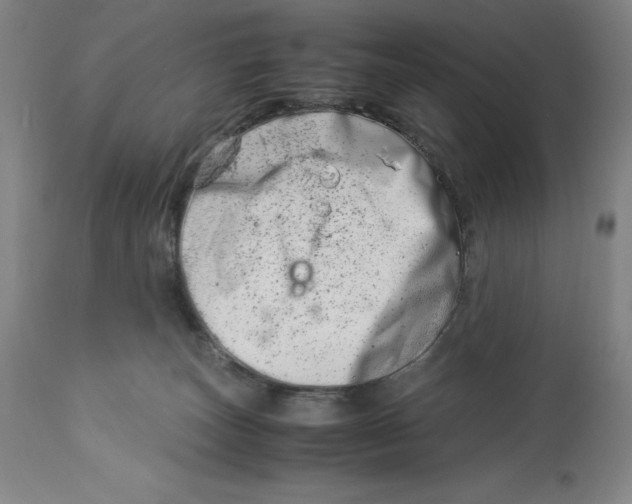 X0000113990179200910231738