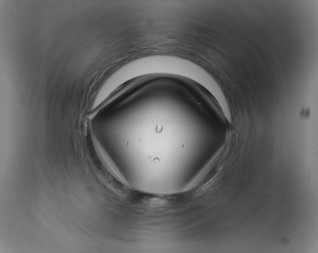 X0000113990180200910231738