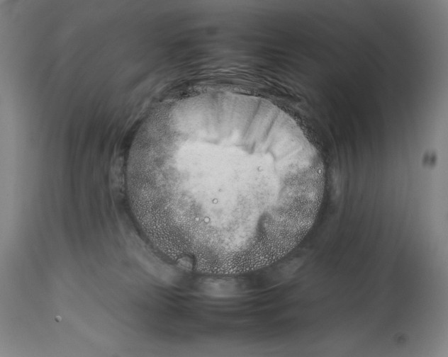 X0000113990181200910231738