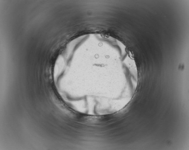 X0000113990182200910231738