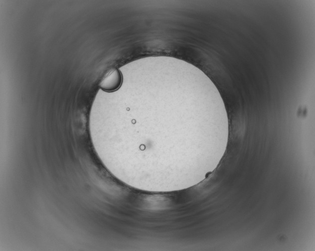 X0000113990183200910231738