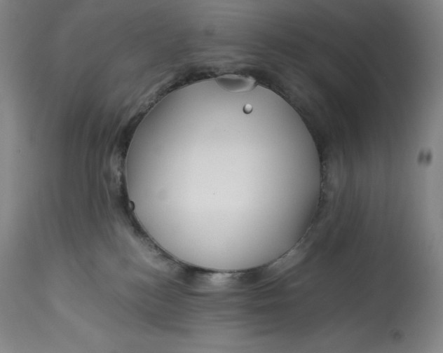 X0000113990184200910231738