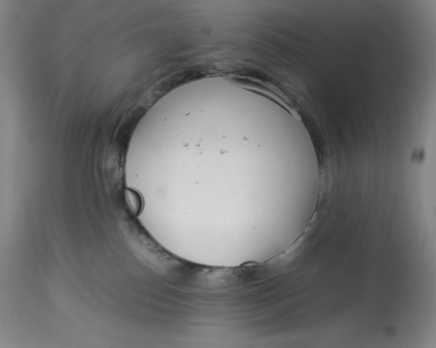 X0000113990186200910231738