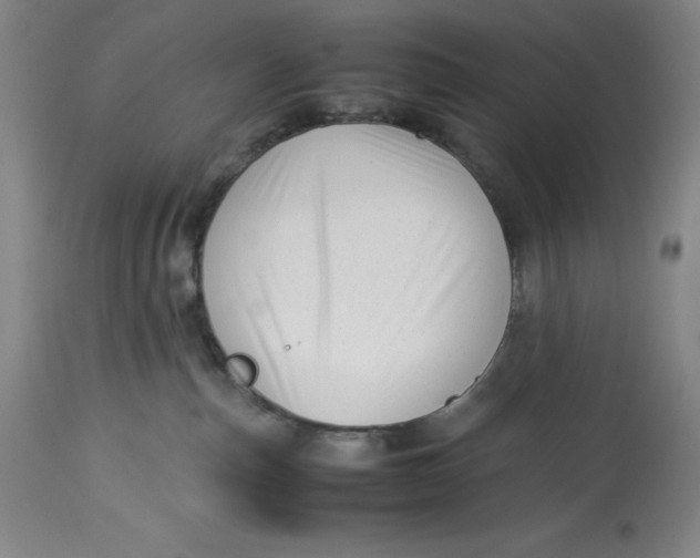 X0000113990187200910231738