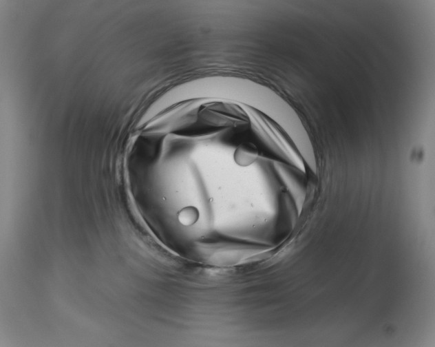 X0000113990188200910231738