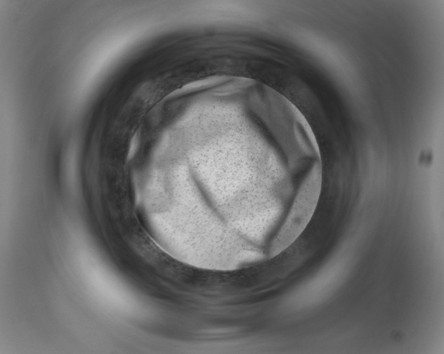 X0000113990189200910231738