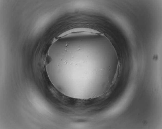 X0000113990190200910231738