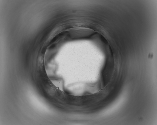 X0000113990191200910231738