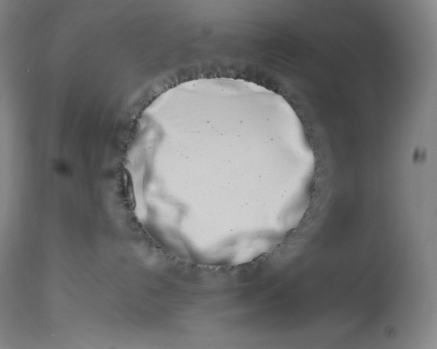 X0000113990192200910231738