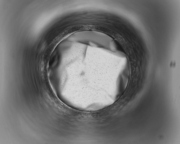 X0000113990194200910231737