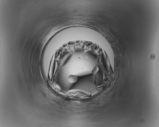 X0000113990195200910231737