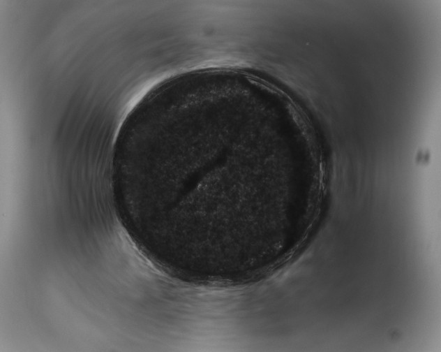 X0000113990196200910231737