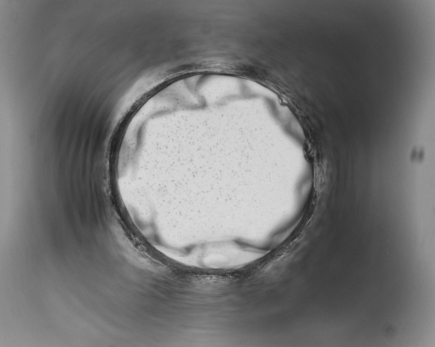 X0000113990198200910231737