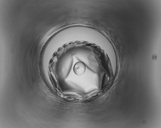 X0000113990199200910231737