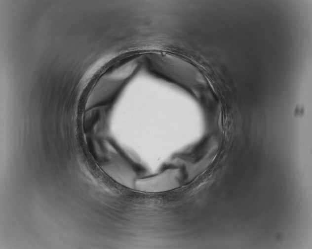 X0000113990200200910231737