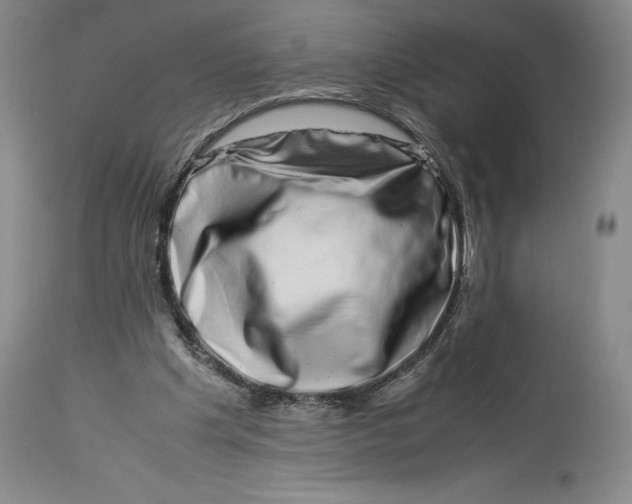 X0000113990201200910231737