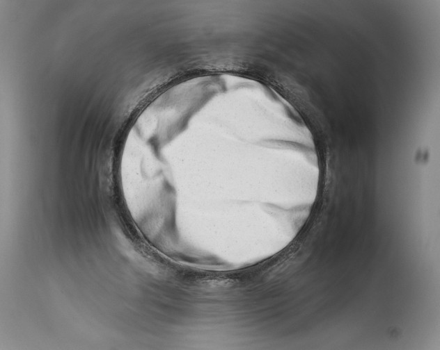 X0000113990202200910231737