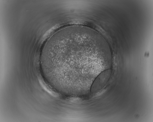 X0000113990203200910231737