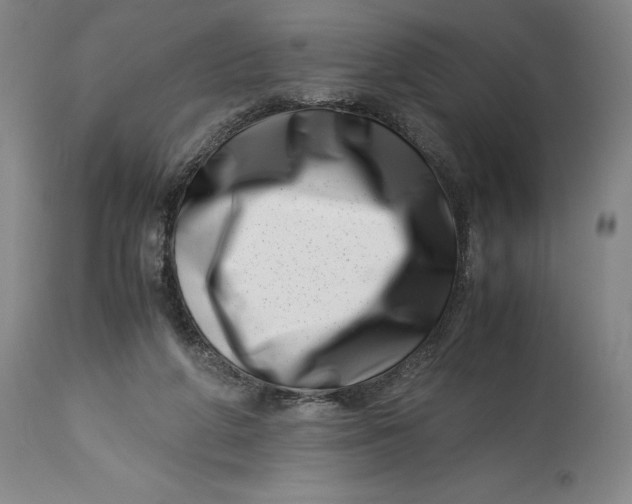 X0000113990210200910231737