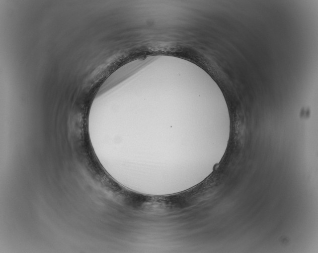 X0000113990211200910231737