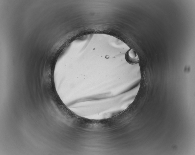 X0000113990212200910231737