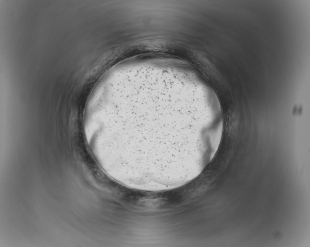 X0000113990213200910231737