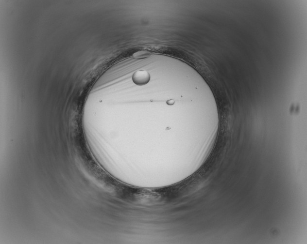 X0000113990215200910231737