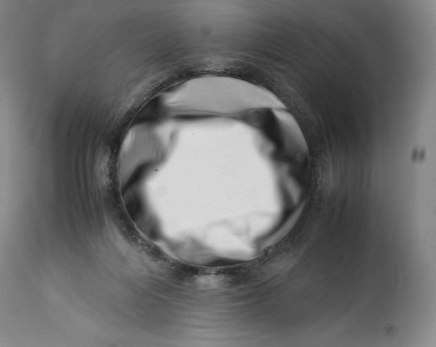 X0000113990216200910231737