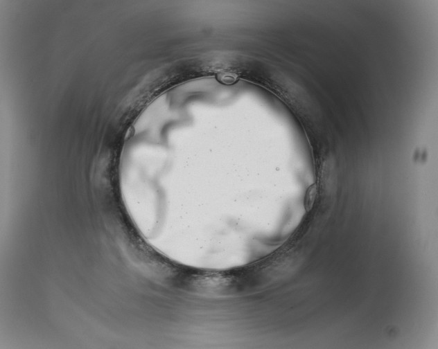 X0000113990217200910231737