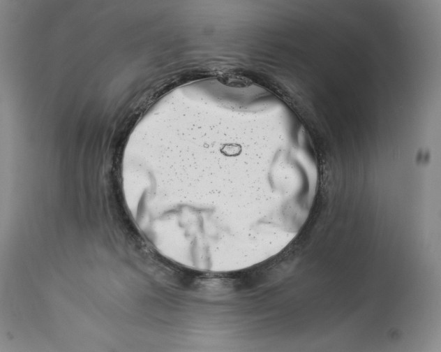 X0000113990221200910231737