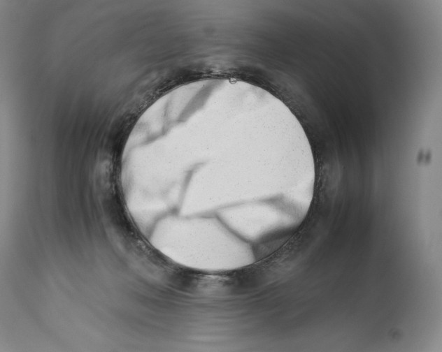 X0000113990222200910231737