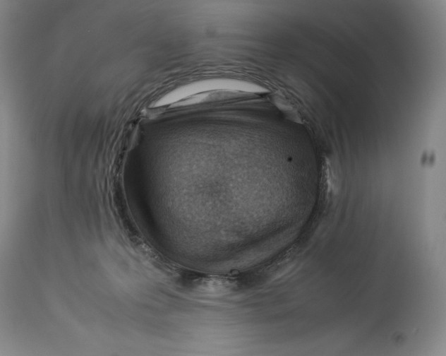 X0000113990223200910231737