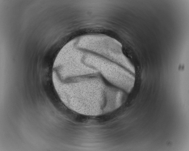 X0000113990224200910231737