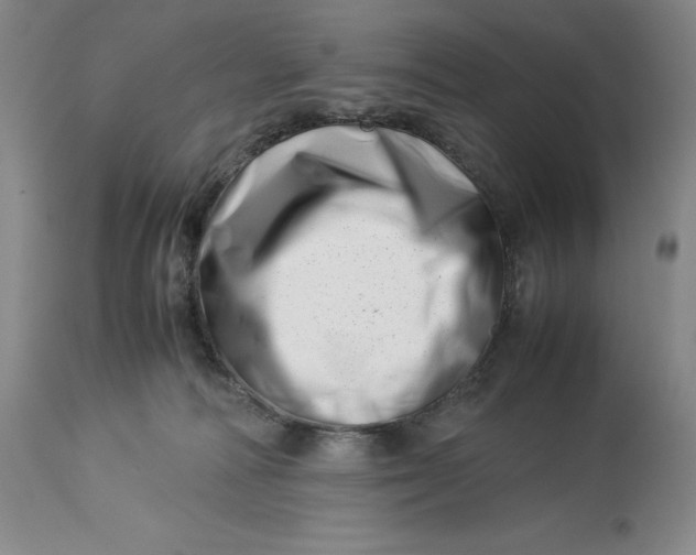 X0000113990226200910231737