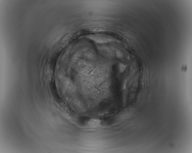 X0000113990227200910231737