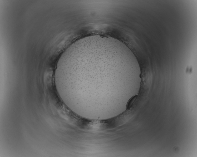 X0000113990231200910231737