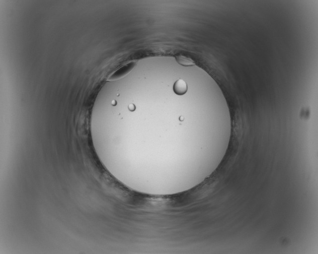 X0000113990233200910231737