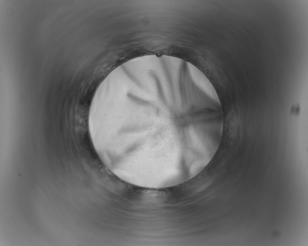 X0000113990234200910231736