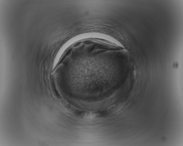 X0000113990235200910231736