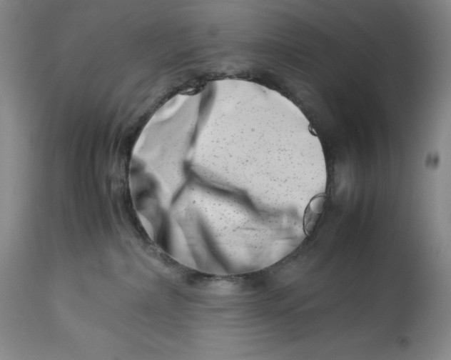 X0000113990236200910231736