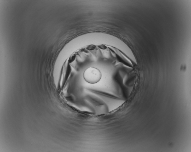 X0000113990237200910231736