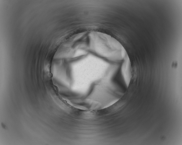 X0000113990238200910231736