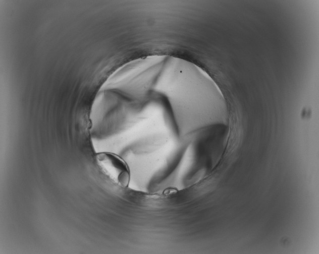 X0000113990240200910231736